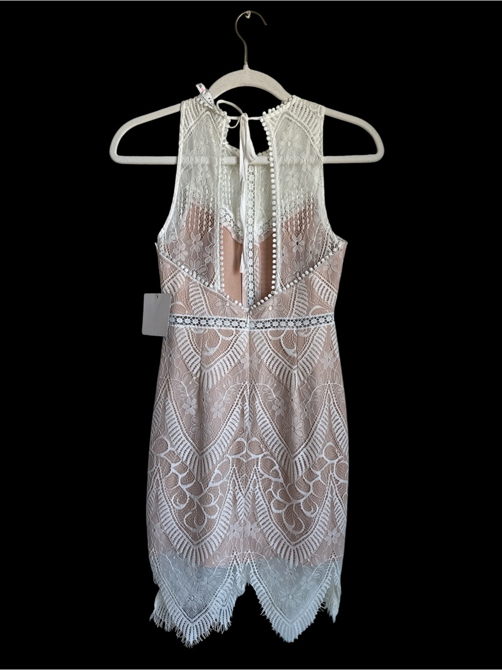 LUSH Lace Sleeveless Mini Dress - Picture 2 of 7